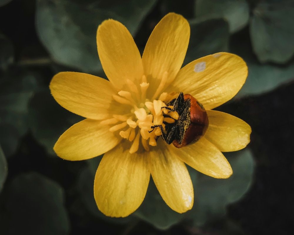 Фотография автора Дмитрий Деревянко