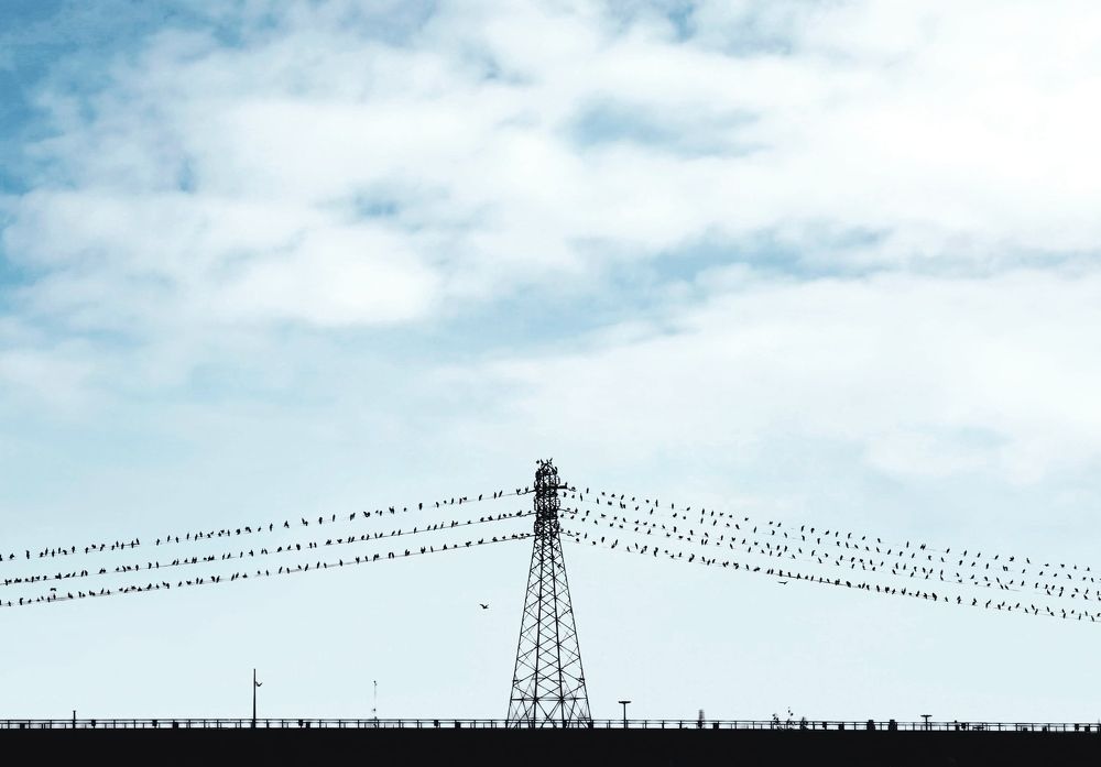 Photograph by Soleimani