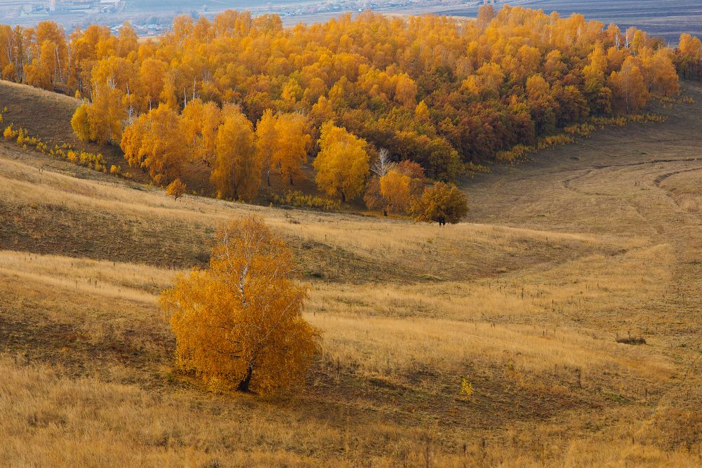 Photograph by Давыдова Гульгена
