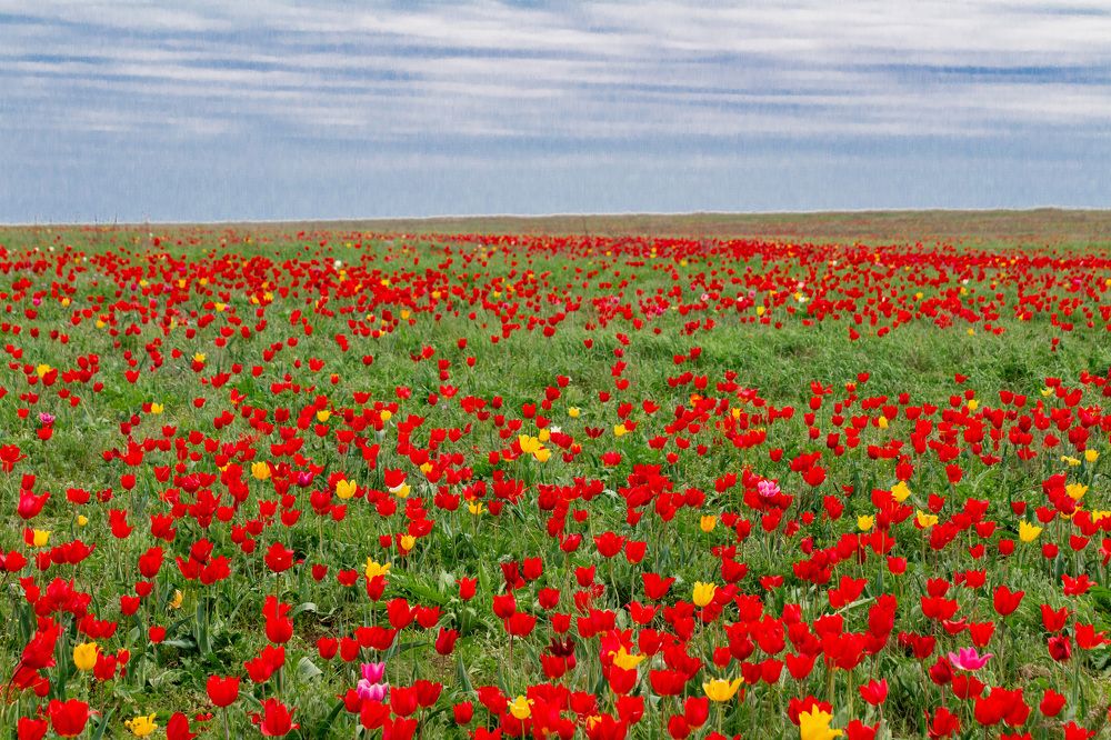 Photograph by Маргарита Таценко