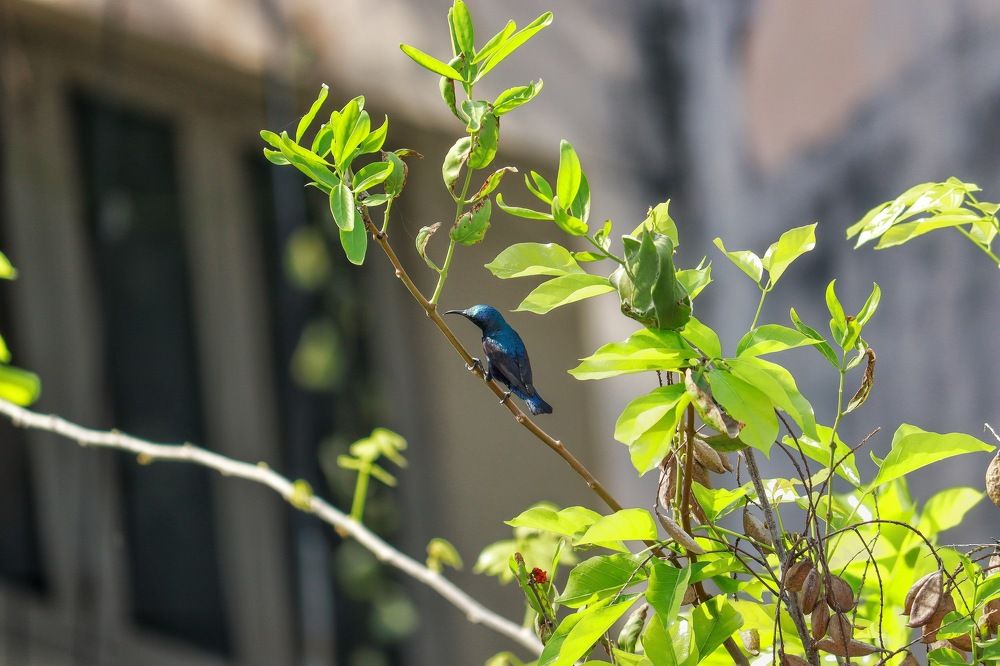 Photograph by Sameer Sharma