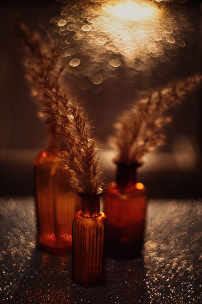 Photograph by Alena Sabro