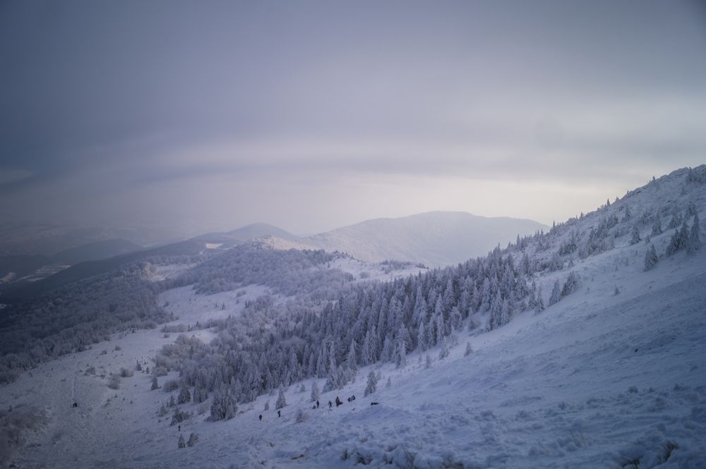 Photograph by Андрій Максимович