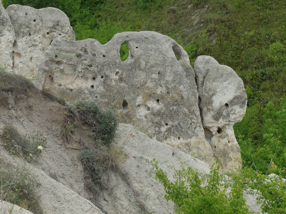 Photograph by Ираида Стародубцева