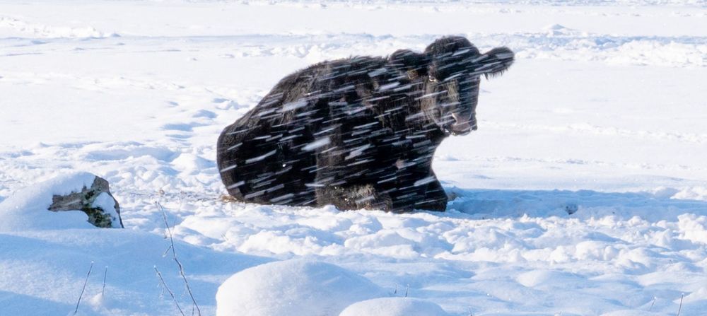 Photograph by Urmas Lind