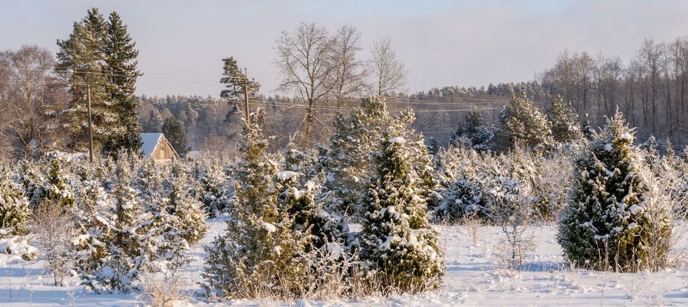 Photograph by Urmas Lind