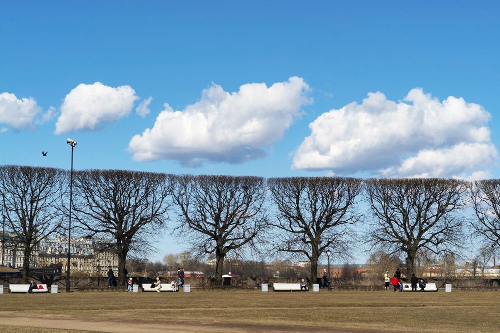 Photograph by Алексей Маринченко