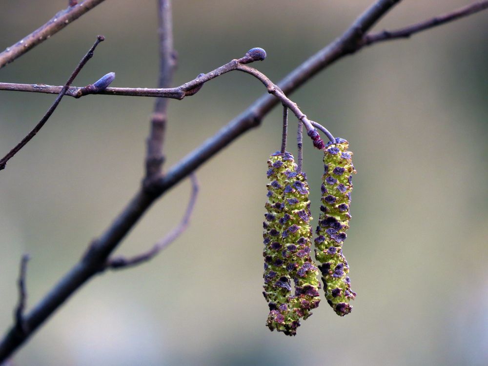 Фотография автора Katica Pecigoš-Kljuković