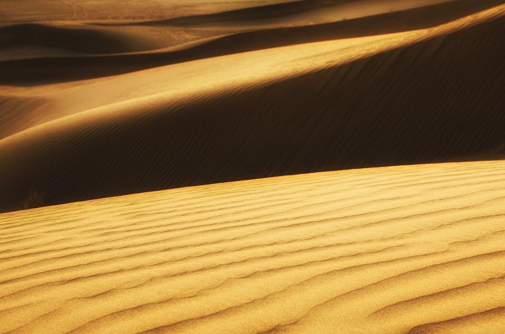 Photograph by Hengameh pirooz