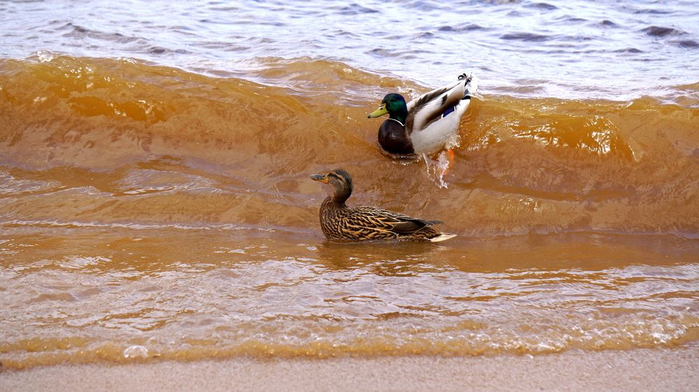 Photograph by Блюмина Елена
