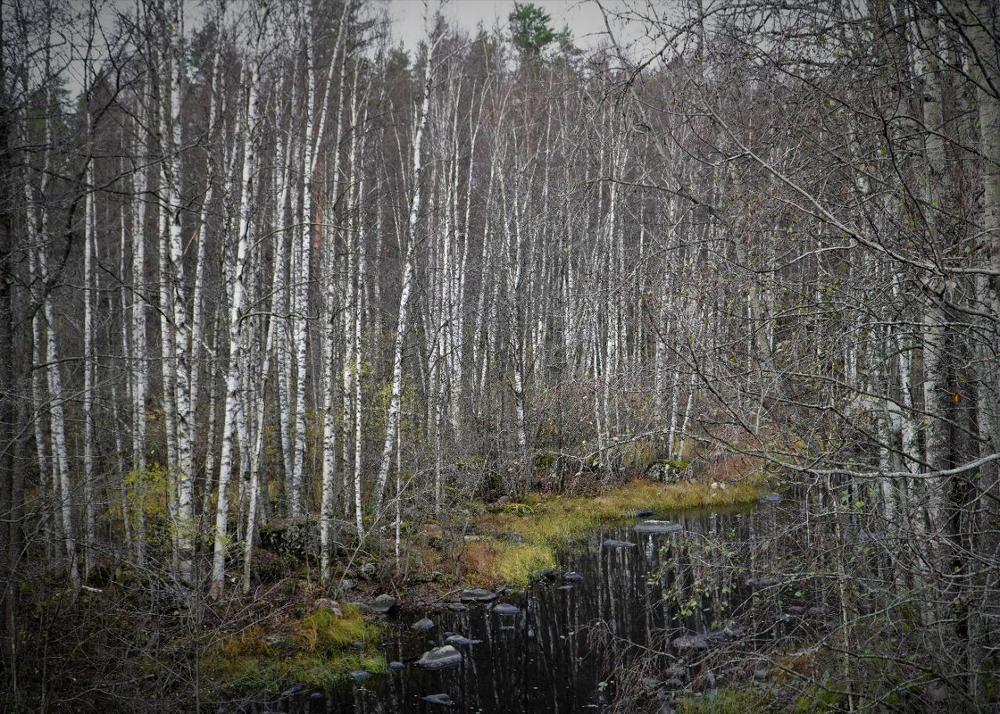 Photograph by Марина Безенкина