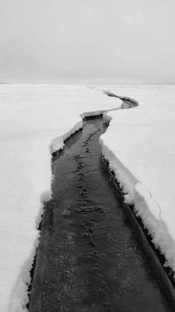 Photograph by Галина