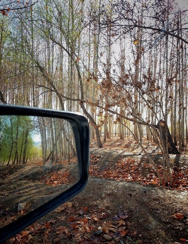Photo #6046751
