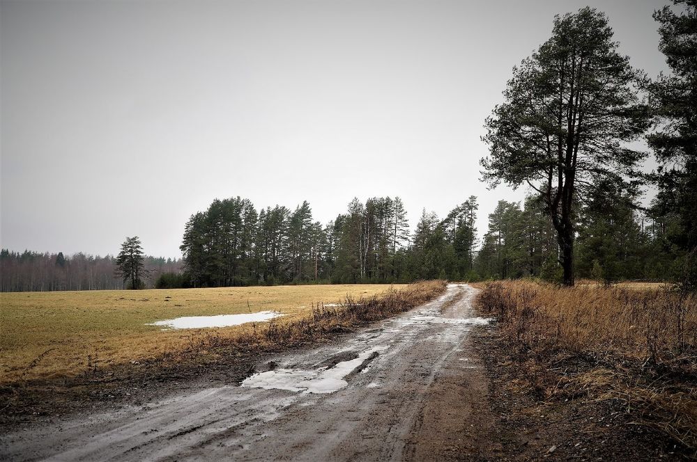 Photograph by Марина Безенкина