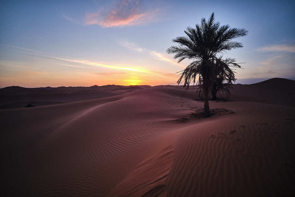 Photograph by Zakaria HADDAD