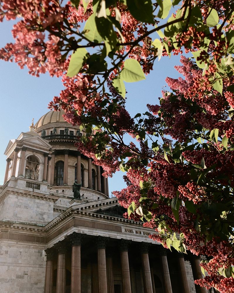 Photograph by Алина Коханова