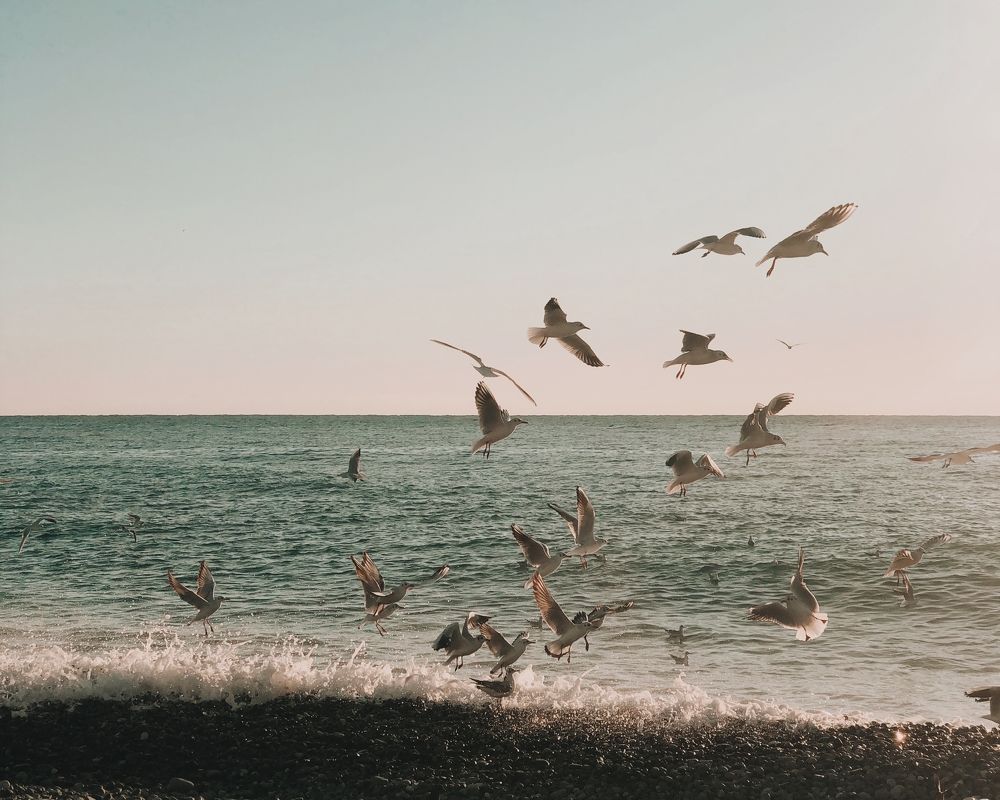 Photograph by Алина Коханова