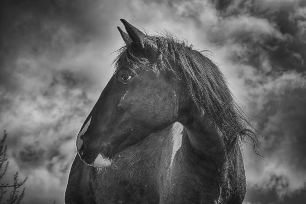 Photograph by Teodora Sarbinska