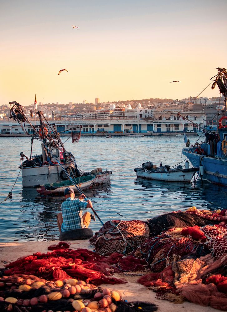 Photograph by Youcef Guellal