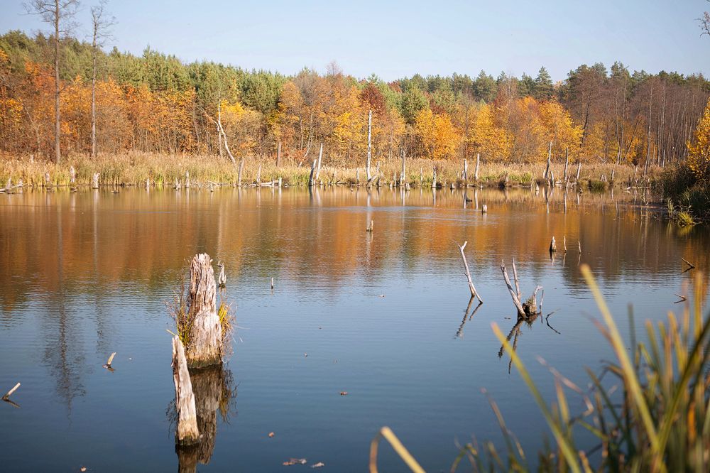 Фотография автора Юлия Капустинская