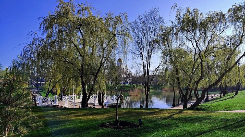 Утренний парк