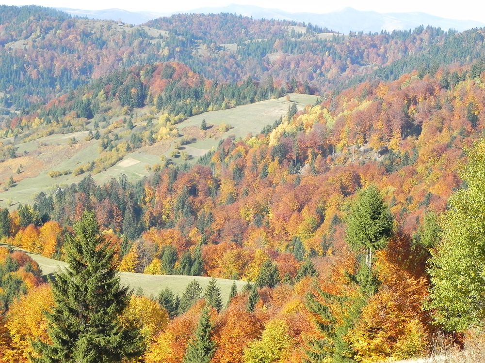 Фотография автора Юлия Капустинская