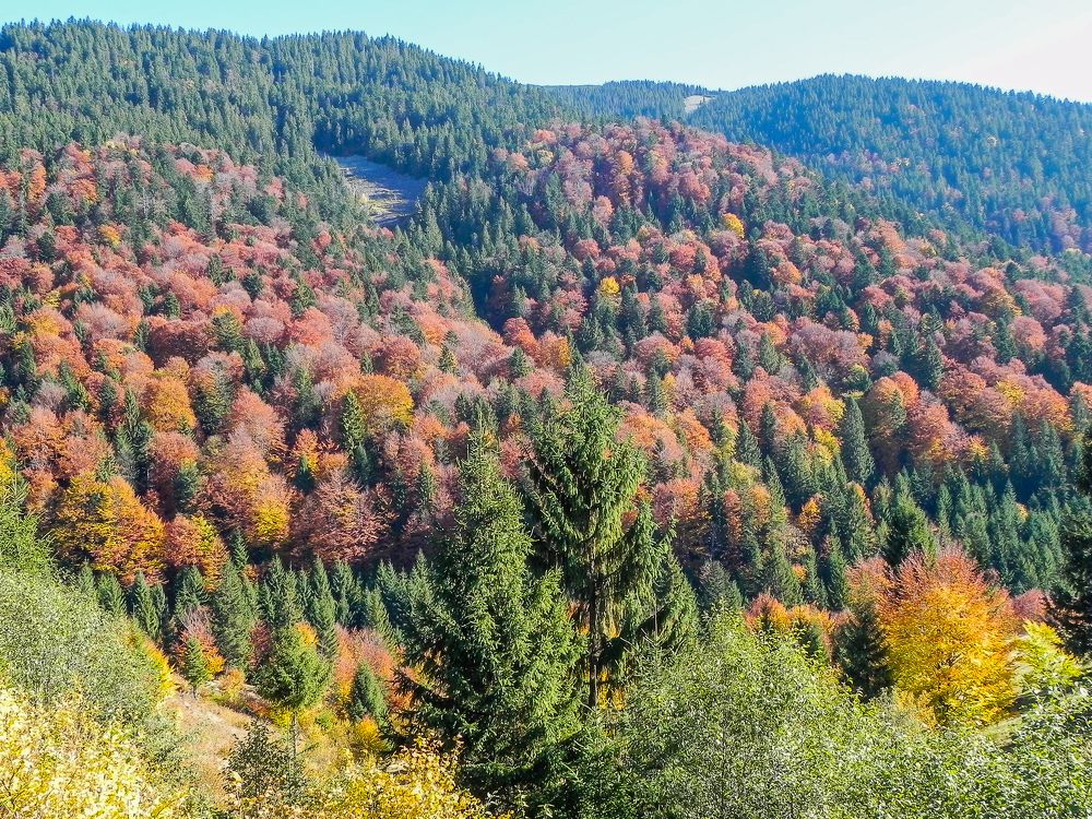 Фотография автора Юлия Капустинская