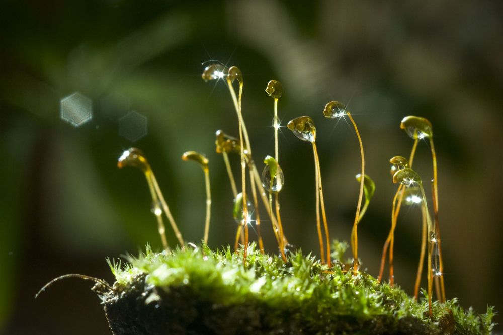 Photograph by Мария Усманова