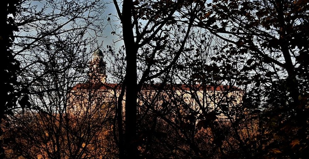 Photo #6047026