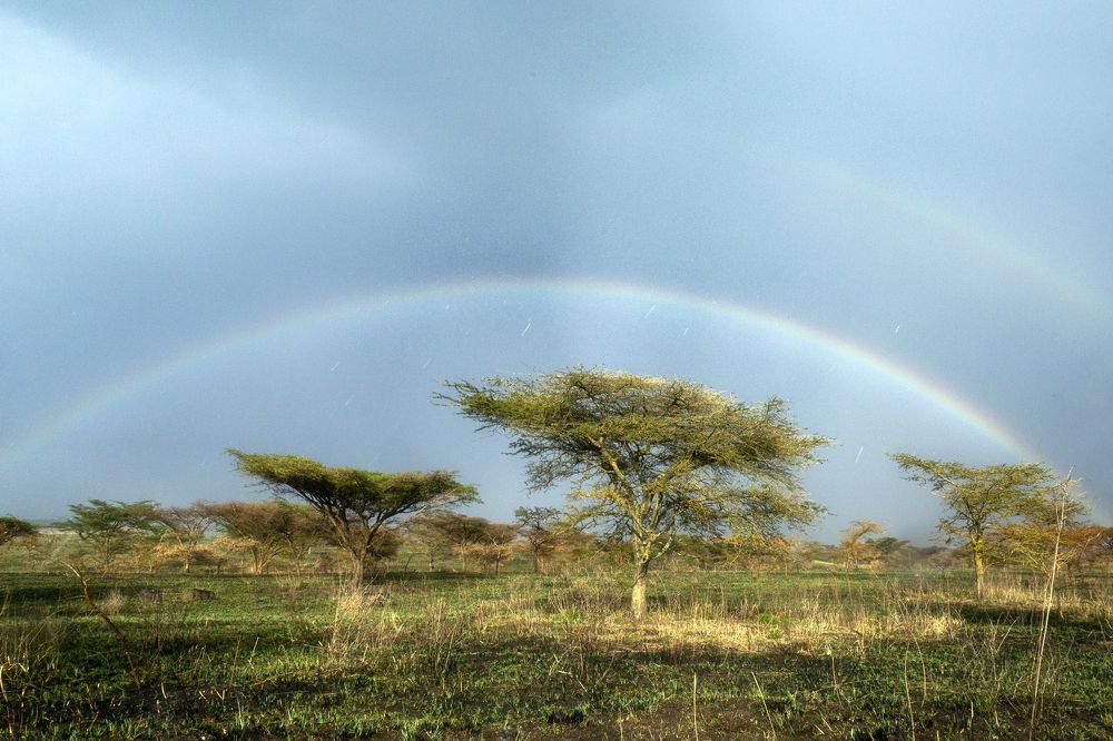 Photograph by Amal Alameer