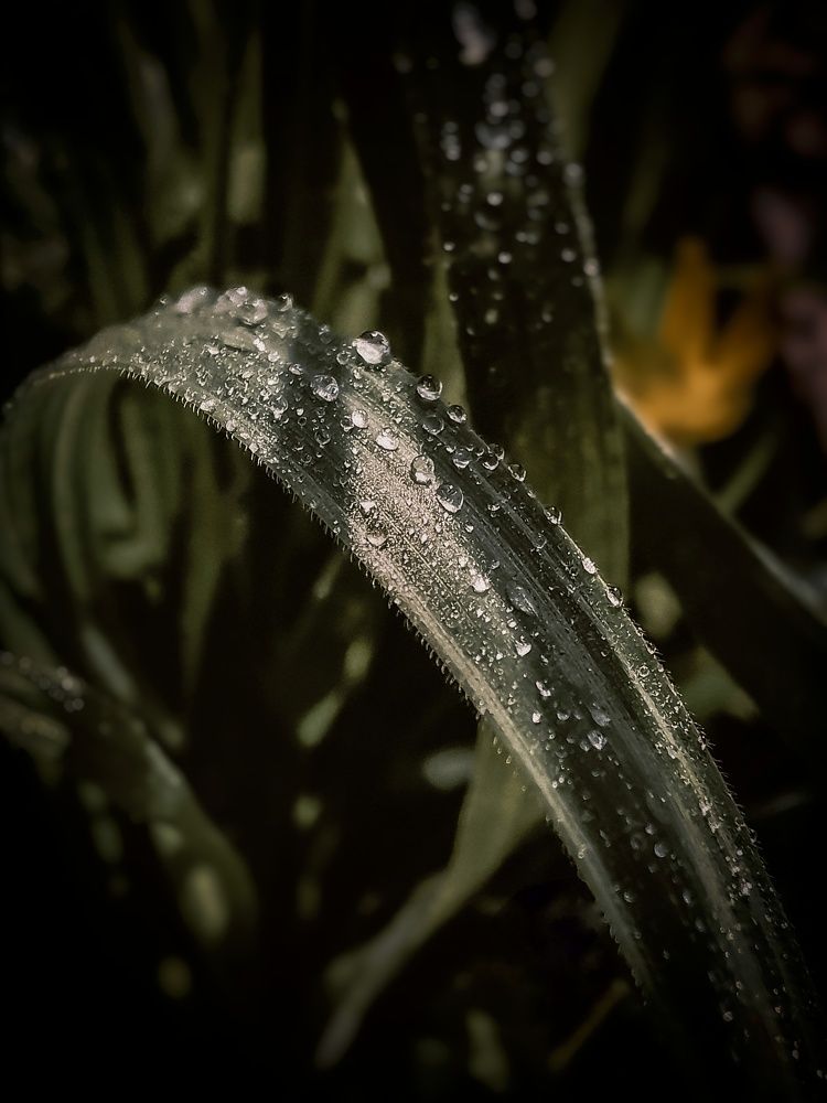 Photograph by Оксана Маракушина