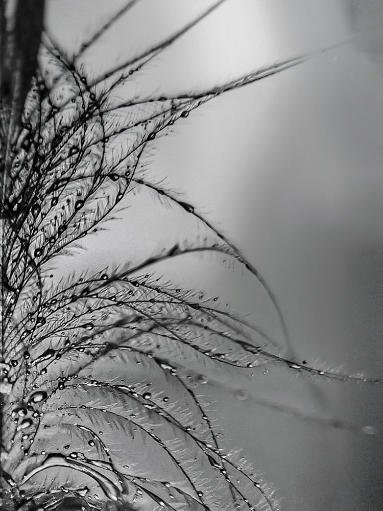 Photograph by Оксана Маракушина