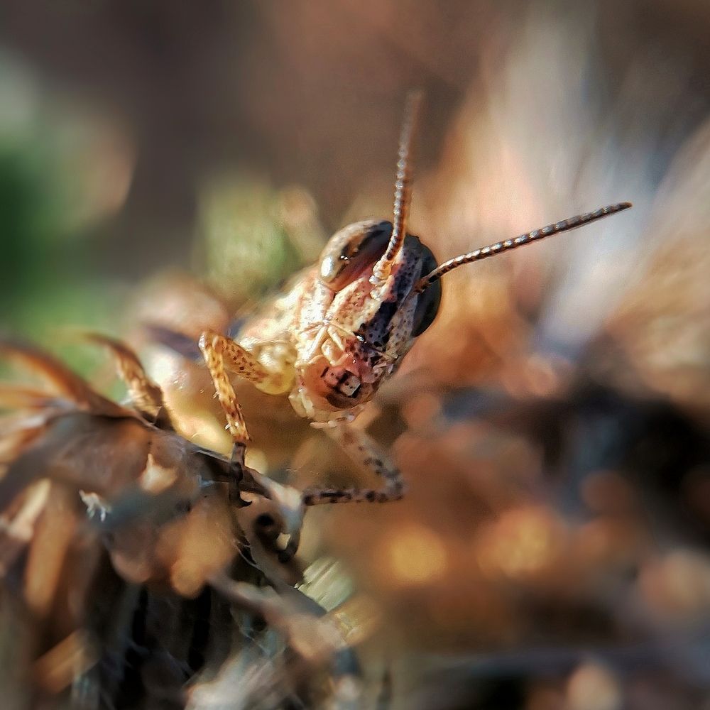 Photograph by Оксана Маракушина