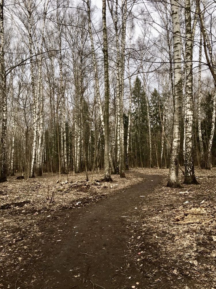 Межсезонье