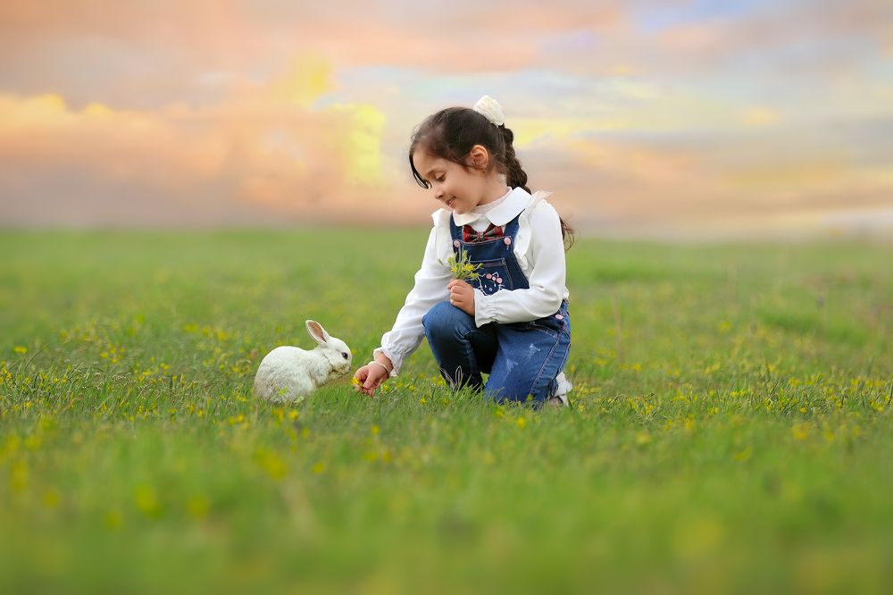 Photograph by mohsen mikaeili