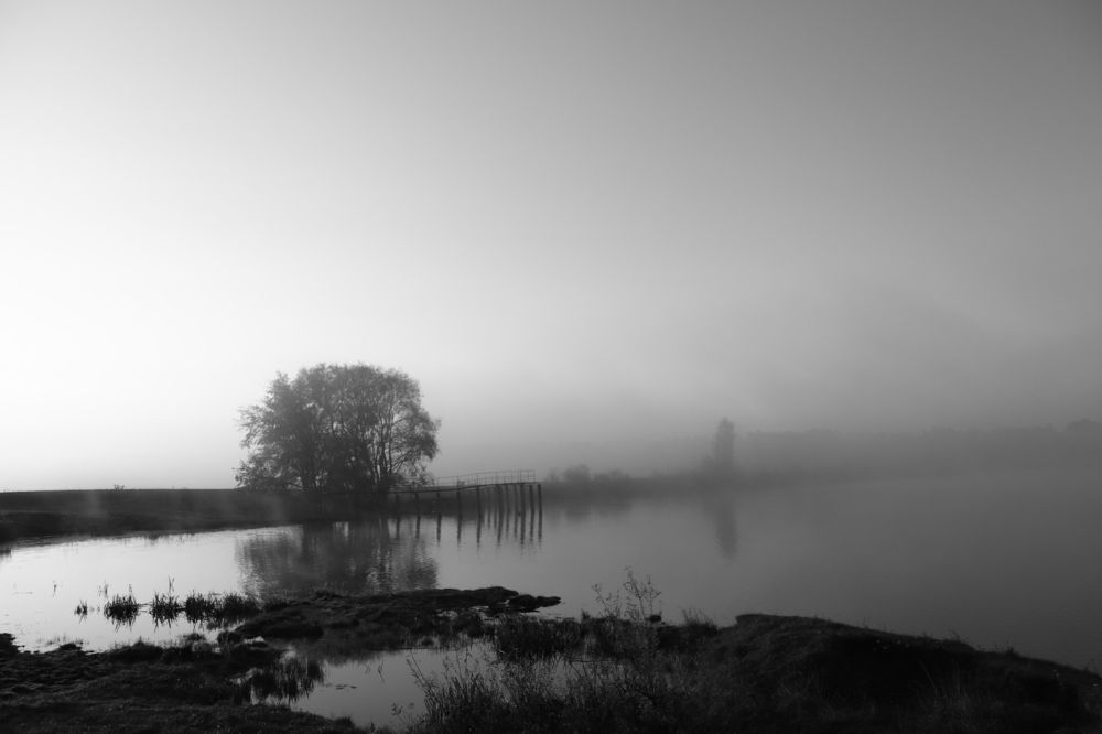 Photograph by Ирина Шевченко