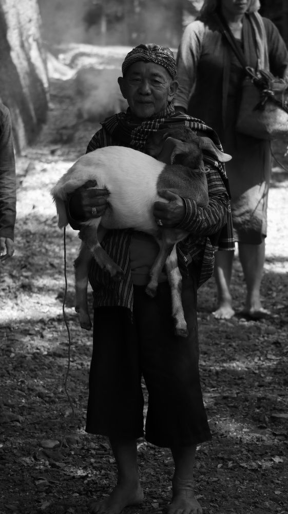 Фотография автора Edi Sutriyono