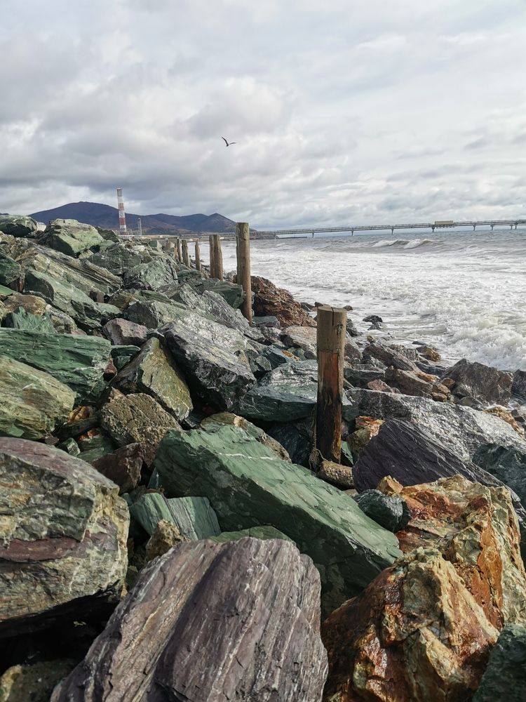 Пригородное