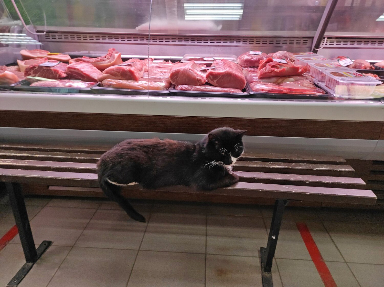 Photo #6047350