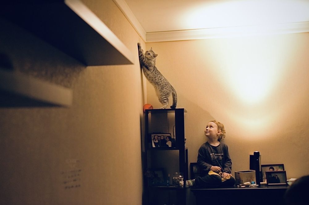 Photograph by Надежда Недашковская