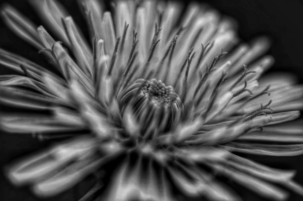 Photograph by Andreas Koff