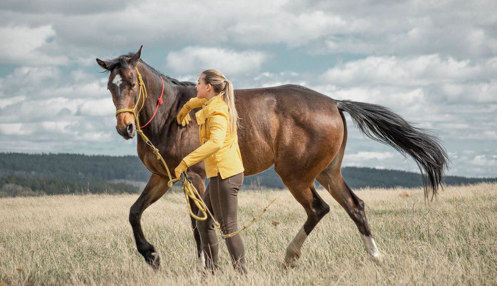 Photograph by Елена Макарова