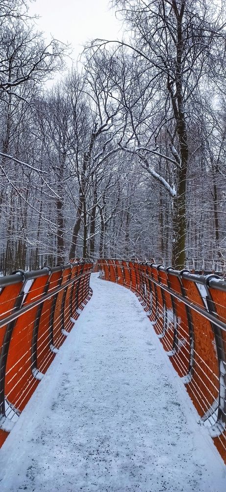 Photograph by Дарья Маркина