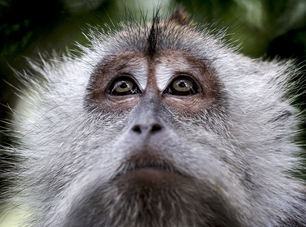 Photograph by FOK LOY WONG