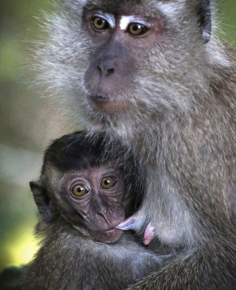 Photograph by FOK LOY WONG