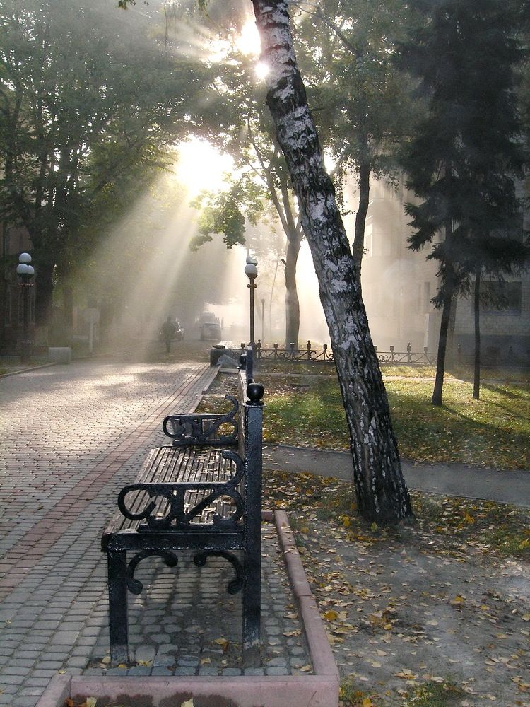 Photograph by аркадий