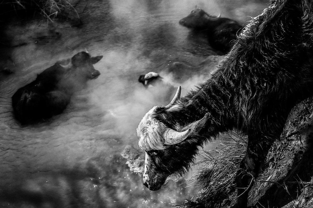 Photograph by Mortada emad Alkaabi