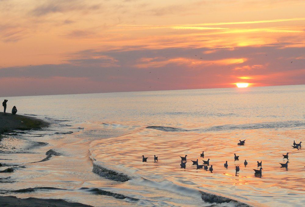 Photograph by аркадий