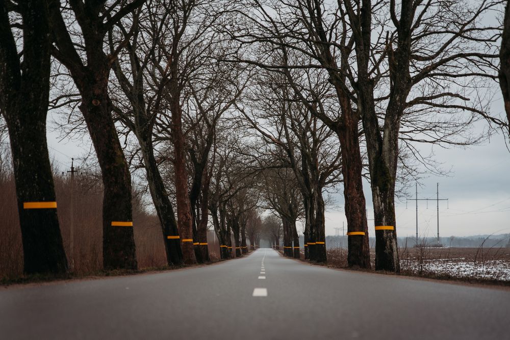 Photograph by Владимир Моисеев