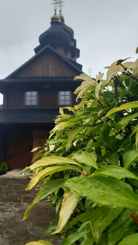 Photograph by Аліса Чарівна